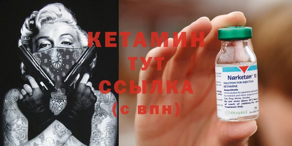 крисы Аркадак
