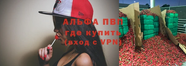 крисы Аркадак