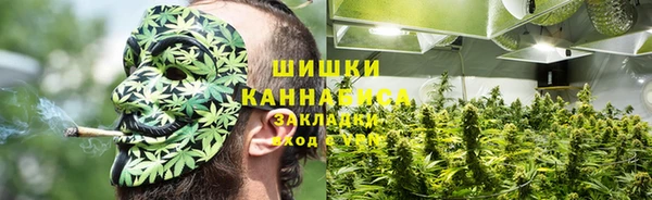 крисы Аркадак