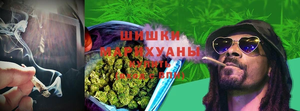 крисы Аркадак