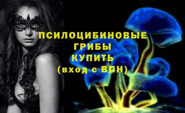 дурь Арсеньев