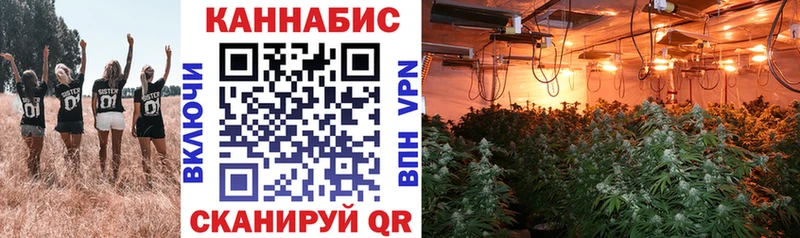 где можно купить   Мглин  Шишки марихуана OG Kush 